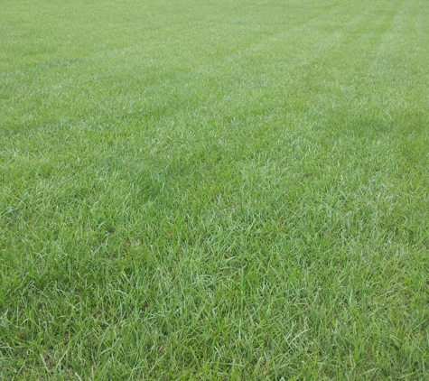 Greenkeeper Lawn, Tree & Shrub Treatment Service - Hagerstown, MD