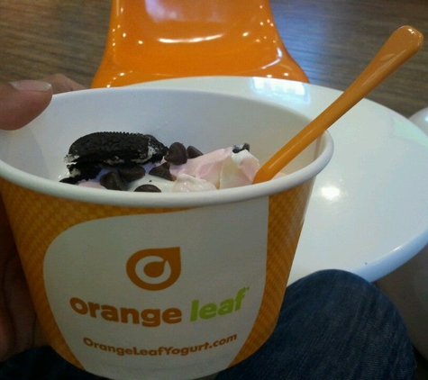 Orange Leaf Frozen Yogurt - New Braunfels, TX