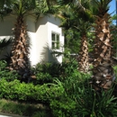 Caribbean Pools & Landscape - Swimming Pool Construction