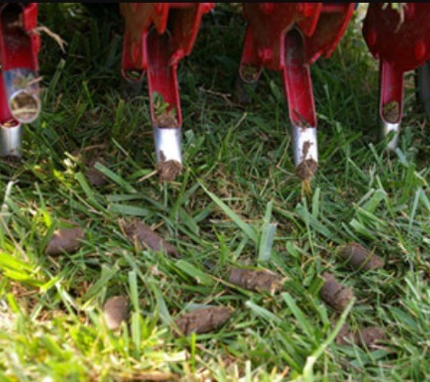 Gutierrez Tree Service & Landscaping - Murrieta, CA