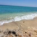 Sofia Marshall Real Estate - Boca Raton, FL - Real Estate Agents