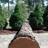 Allen's Tree Service, LLC gallery