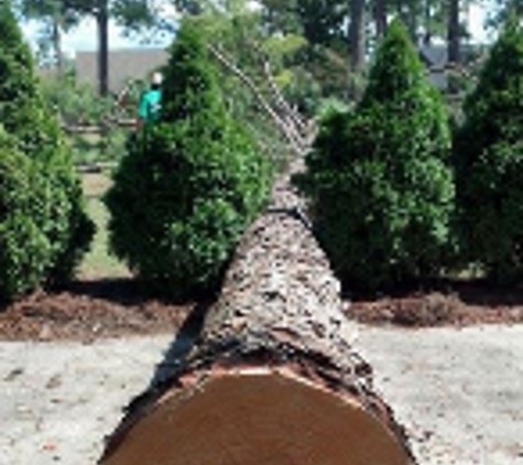 Allen's Tree Service, LLC - Eastman, GA