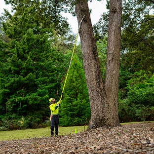 Bartlett Tree Experts - Dallas, TX - Dallas, TX