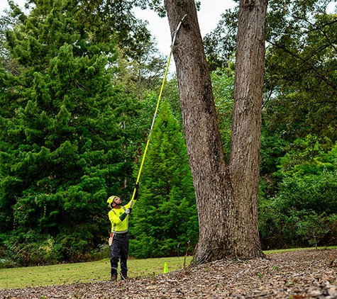 Bartlett Tree Experts - York, PA - York, PA