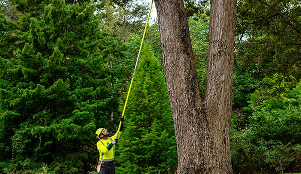 Bartlett Tree Experts - Riverhead, NY - Riverhead, NY