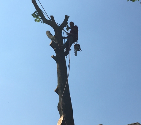 K&J Landscaping & TreeService - Staten Island, NY