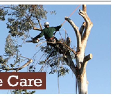 Tom's Tree Service - Wenonah, NJ