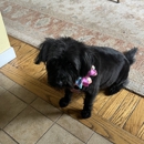 Oona's Dog Grooming & Spa - Pet Grooming