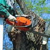 Tree Care Pros gallery