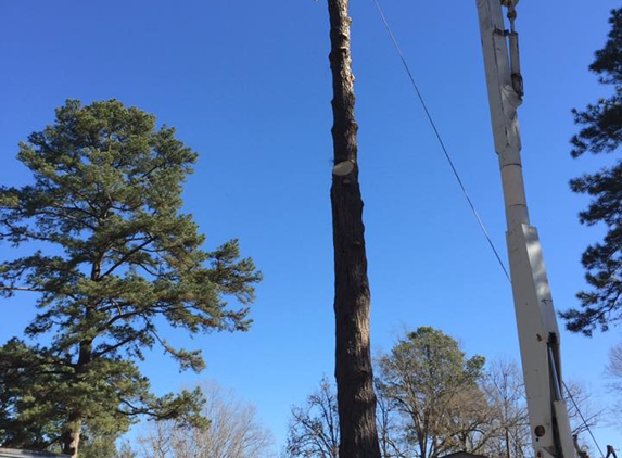 Munholland Tree Service - Monroe, LA