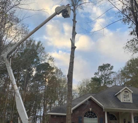 RS Tree Service - Petal, MS