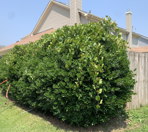 Stripes Lawn Care - Yorktown, VA