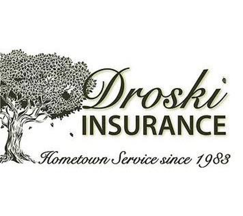 Droski Insurance - Howard City, MI