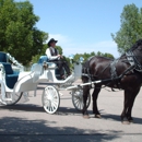 Box Elder Horse & Carriage - Horse & Carriage-Rental