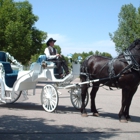 Box Elder Horse & Carriage