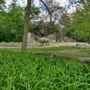 Brookfield Zoo