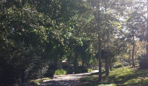 Hicks Canyon Community Park - Irvine, CA