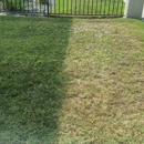 GREEN IN LAWN PAINTING - Lawn Maintenance