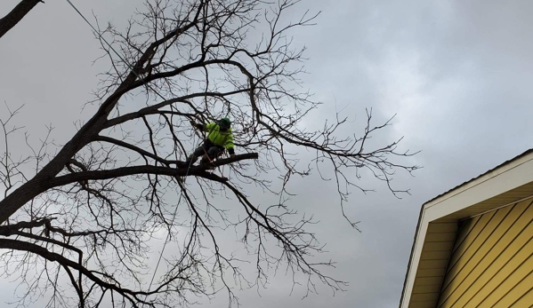 Backwoods Tree Service - Montrose, MI