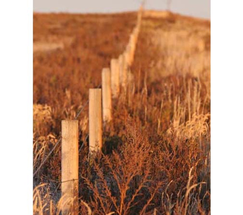 Steed Surveyors