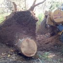 DB & Sons Stump Grinding LLC - Landscaping & Lawn Services