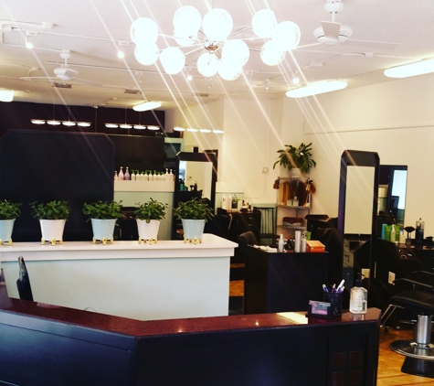 Bella Colore Salon LTD - Denver, CO