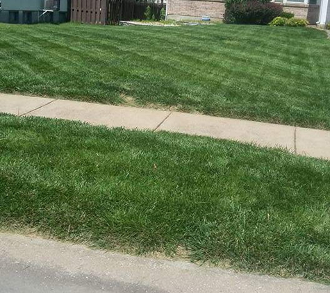 P's Residential Lawn Care - Florissant, MO