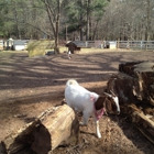Winterpast Farm
