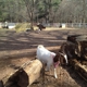Winterpast Farm