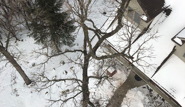 Jce Tree Service - River Falls, WI