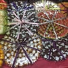 Rangoli Sweets gallery