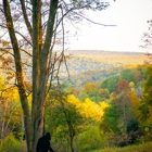 Medix Run Lodges and Cabins