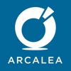 Arcalea gallery