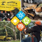 Nard's Tree Service, L.L.C.