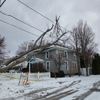 C&R's Out On A Limb Tree Care gallery