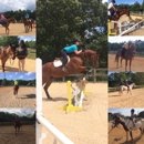 Old School Equestrian - Horse Training