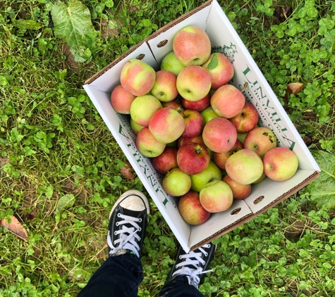 Linvilla Orchards - Media, PA