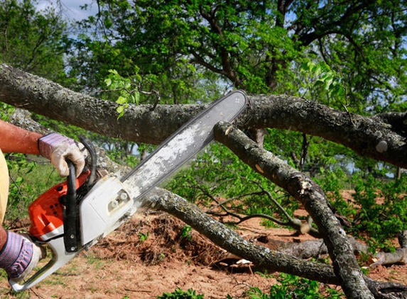 Bear Tree Service, Inc. - Port Washington, NY