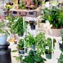 Unionville Florist - Florists