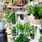 Unionville Florist