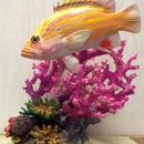 Southern Wildlife Taxidermy - Taxidermists