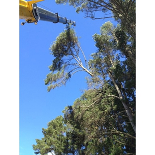 Oliver Shoemark Tree Service Pty Ltd - West Bathurst, NSW