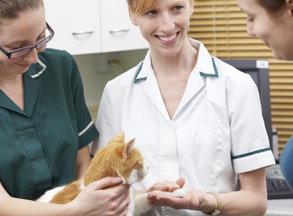 Moruya Veterinary Hospital - Moruya, NSW. The Hospital has provided veterinary care to domestic pets, production farm animals, and horses for 40 years.
