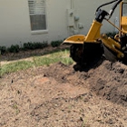 Central Florida Stump Grinding