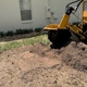 Central Florida Stump Grinding