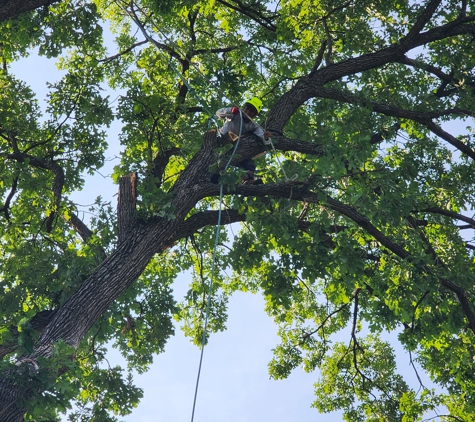 Family Tree Service - Kansas City, MO. Family Tree Service | Tree Removal