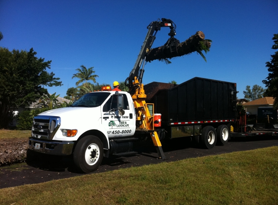 Bobcat Tractor Tree & Landscape Co - Naples, FL