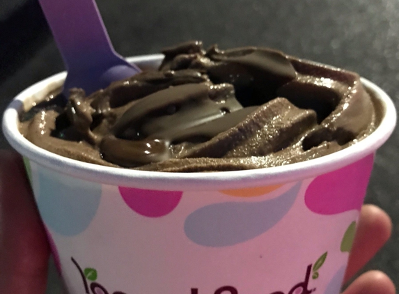 YogurtLand - San Jose, CA