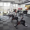 Camden Southline Apartments - Apartments